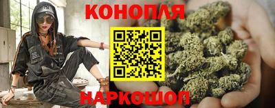 скорость Будённовск