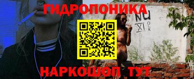 скорость Будённовск