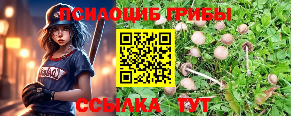 Псилоцибиновые грибы Magic Shrooms Озёрск