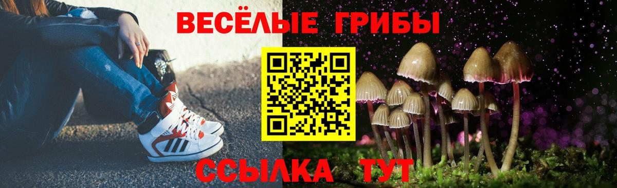Псилоцибиновые грибы ЛСД  Вход с VPN  Озёрск  Псилоцибиновые грибы мухоморы 